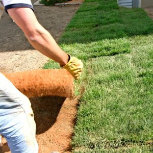 Grass Services in Carrollton, TX