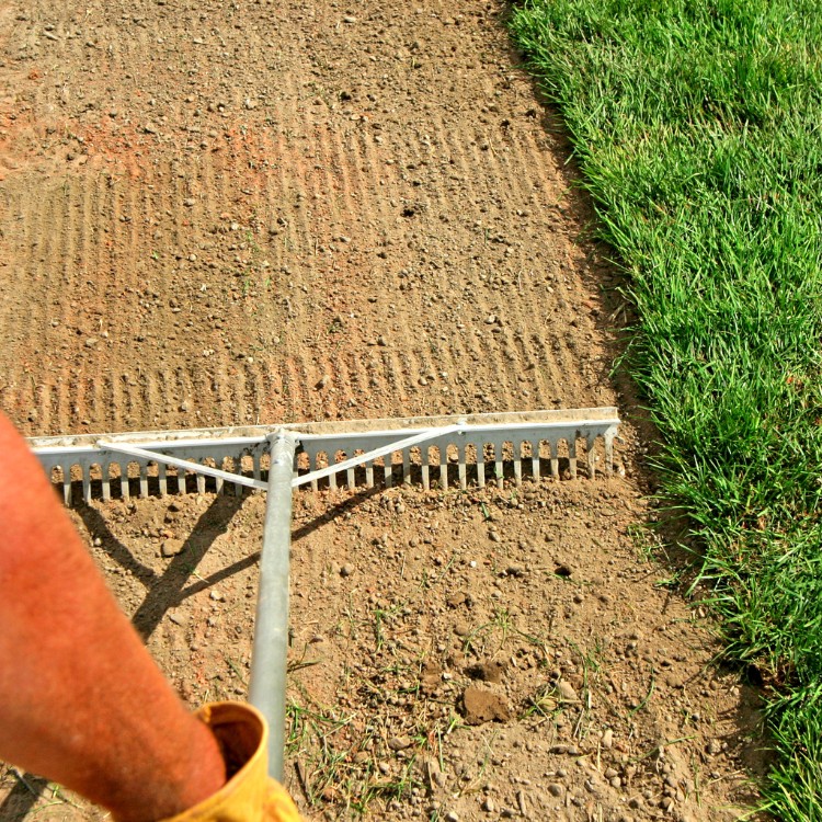 Grass Services in Carrollton, TX