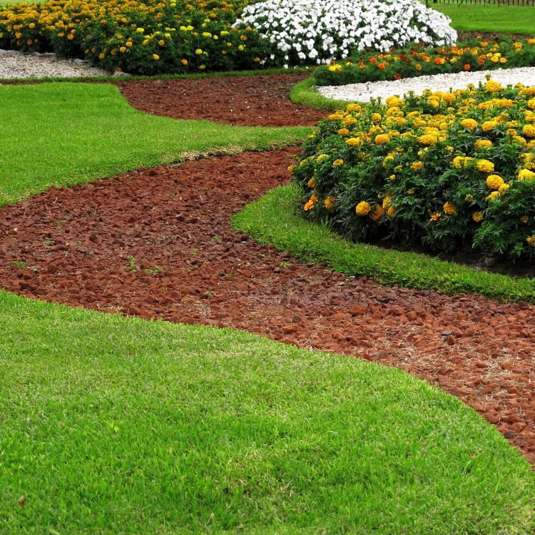 Grass Services in Carrollton, TX