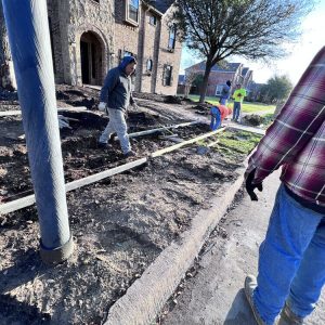 Grass Services in Carrollton, TX