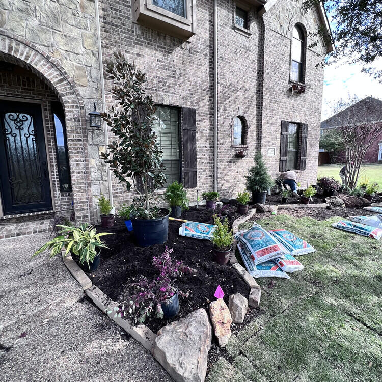 Grass Services in Carrollton, TX