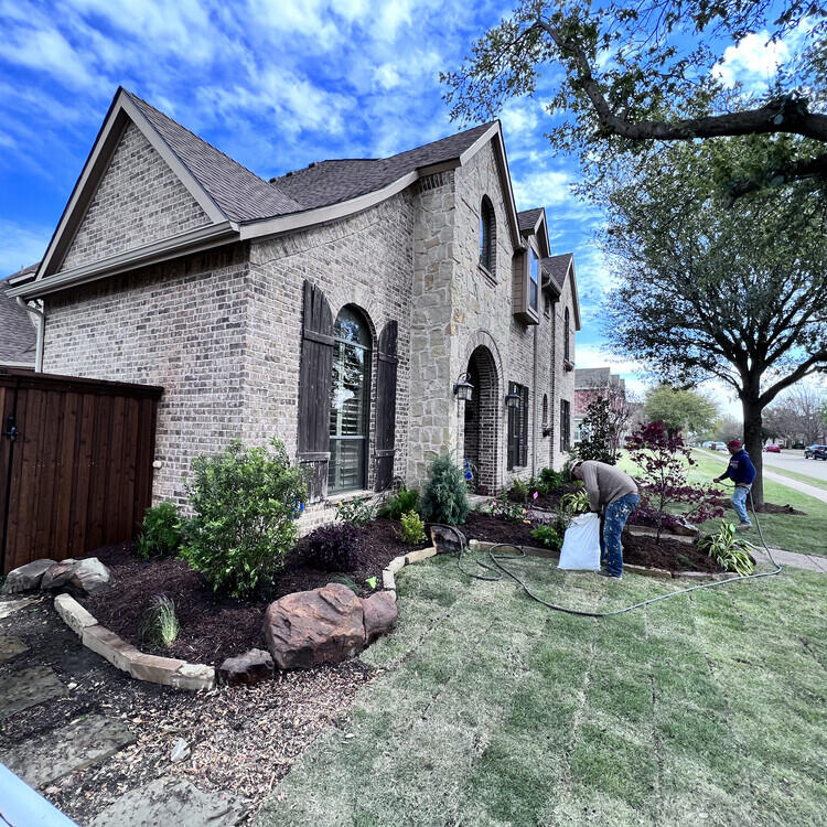 Grass Services in Carrollton, TX